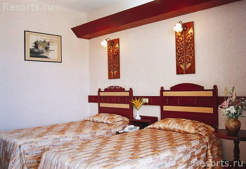 Seagull Home 16